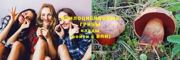 apvp Заволжск